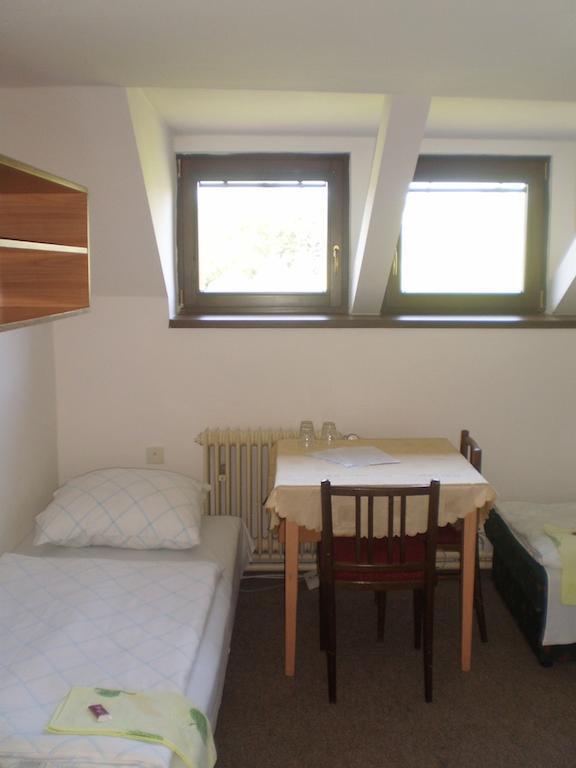 Hotel Pod Skalou Písek Dış mekan fotoğraf